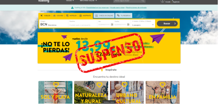 Vueling incumple los requisitos de accesibilidad 4 sancion-accesibilidad-web-vueling