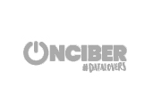 logotipo-onciber Logotipo Onciber