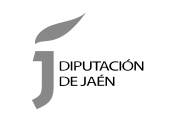 Web Accesible Diputación de Jaén Web Accesible Diputación de Jaén
